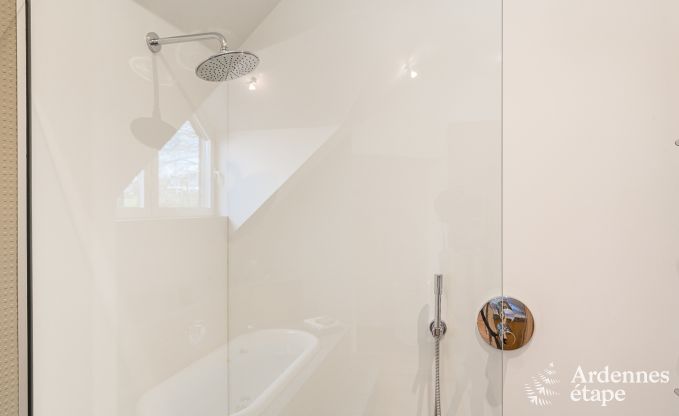 Villa de Luxe  Waimes pour 14 personnes en Ardenne