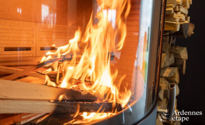 Villa de Luxe  Waimes pour 14 personnes en Ardenne