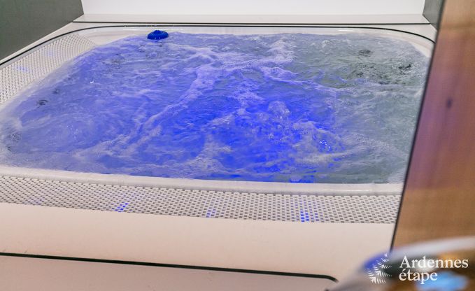 Villa de Luxe  Waimes pour 14 personnes en Ardenne