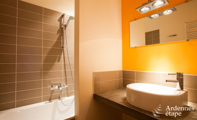 Maison de vacances  Yvoir pour 4/5 personnes en Ardenne