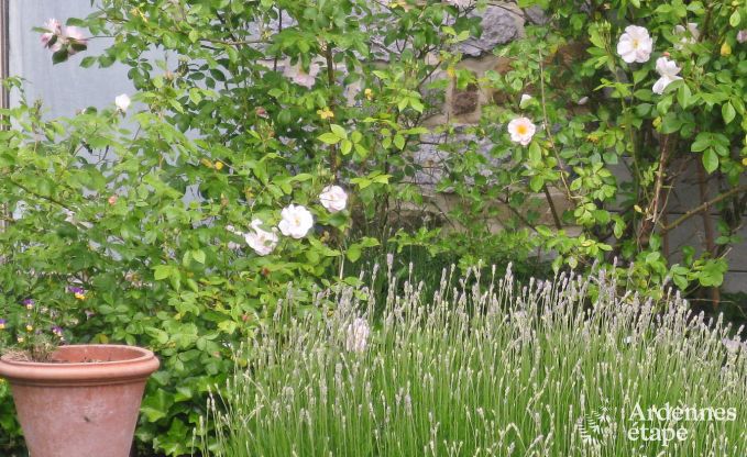 Maison de vacances  Yvoir pour 4/5 personnes en Ardenne