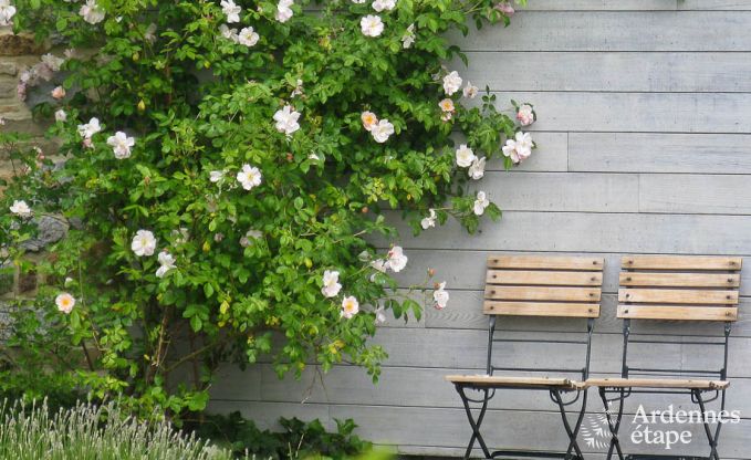 Maison de vacances  Yvoir pour 4/5 personnes en Ardenne