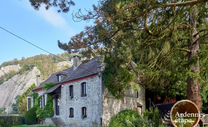 Villa de vacances de luxe sur la Meuse  Yvoir, Ardenne