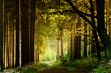 L'automne en Ardenne : 6 conseils pour profiter de cette saison colorée - 12