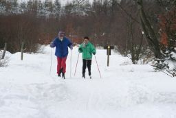Pistes de ski de Fond du Mont Rigi à Province de Liège