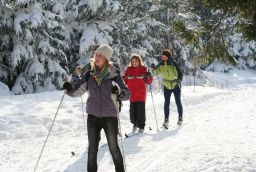Pistes de ski de la Baraque Michel à Province de Liège