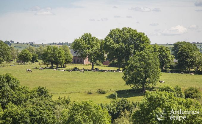 Maison de vacances  Herve pour 14 personnes en Ardenne